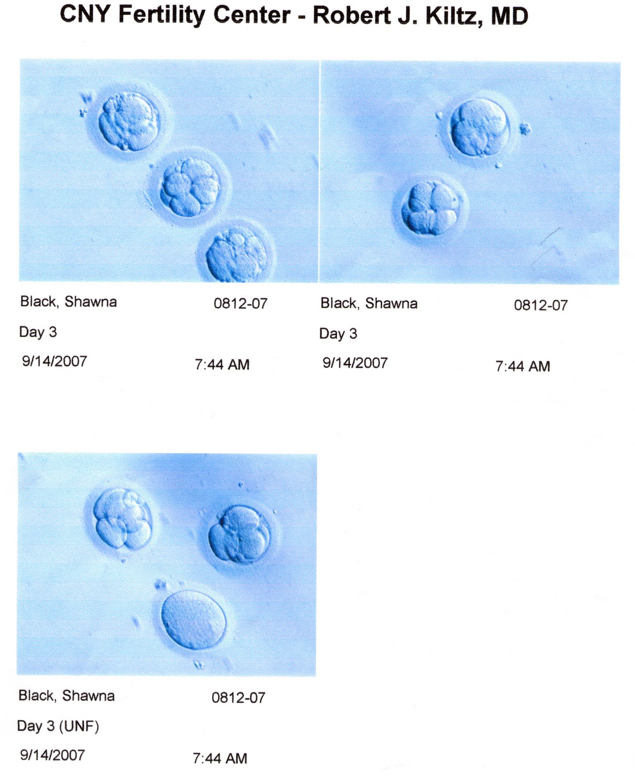 [Embryos-2007.09.14.jpg]
