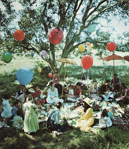 [opt-hg-family-picnic.jpg]