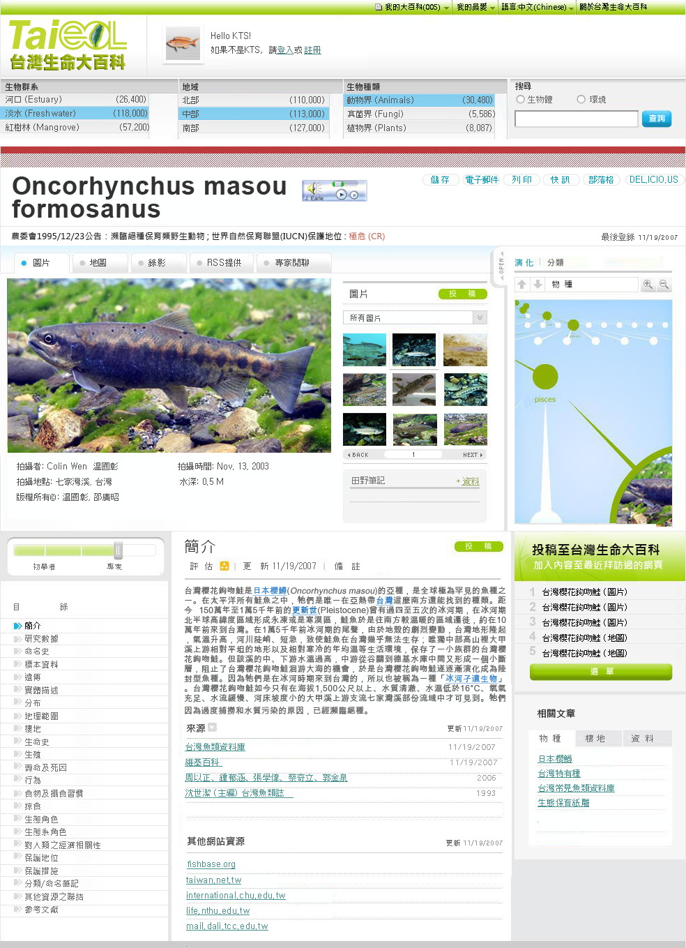 [species_masou_formosanus_chinese.jpg]