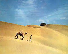 El canto de las dunas