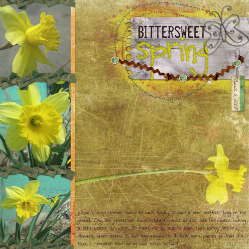 [spring-daffodils.jpg]