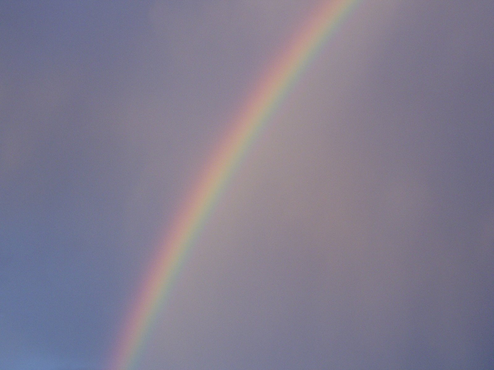 [rainbow1.jpg]