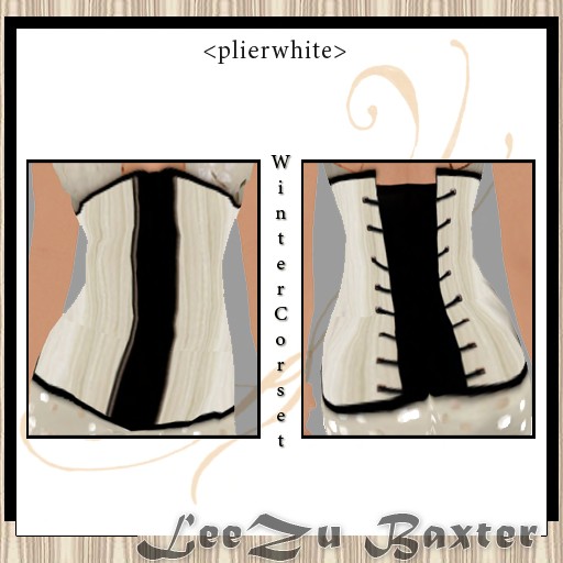 [Copy+of+corset+plierwhite.jpg]