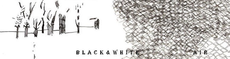 Black & White Air