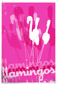 [poster_flamingo.jpg]