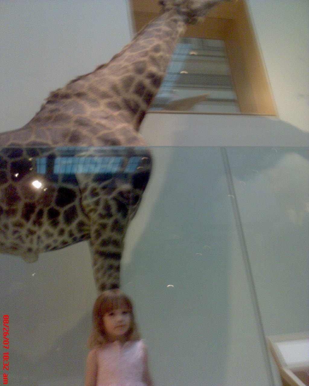 [2007+08+26,+trip+to+the+natural+history+museum,+thea+and+the+giraffe.jpg]