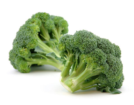 [broccoli-clean-FD-lg.jpg]