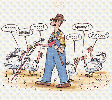[Thanksgiving_cartoon.gif]