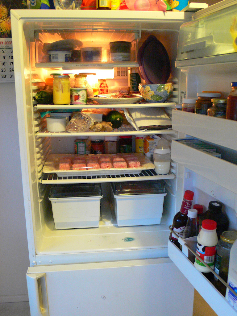 [fridge-1.jpg]