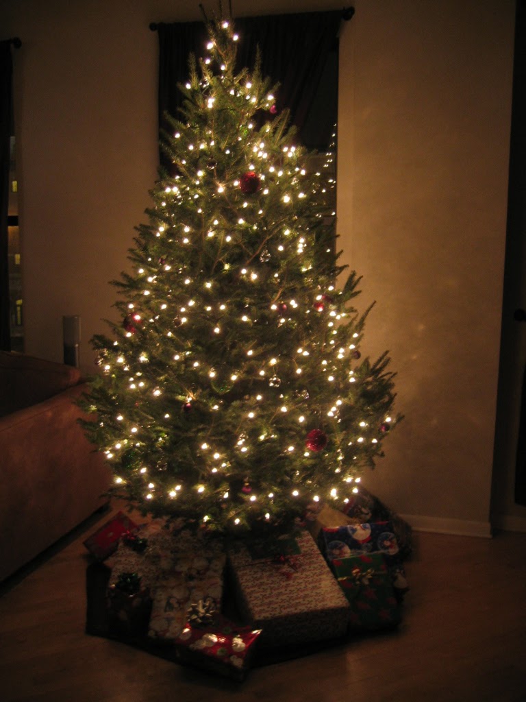 [Final+tree+with+gifts.JPG]