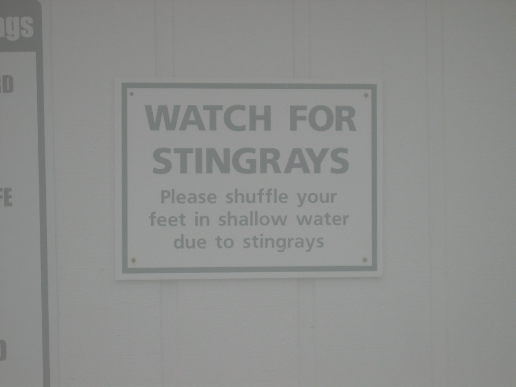 [Stingray+signJPG.JPG]
