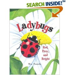 [15+ladybug+book.jpg]
