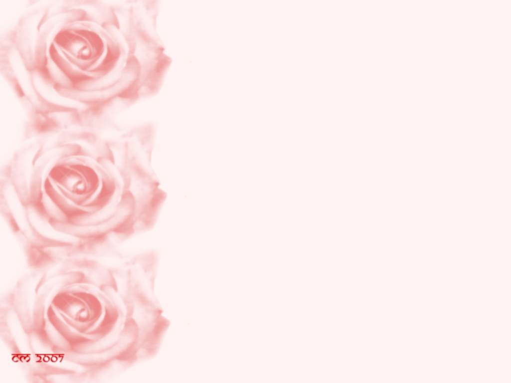 [rosas.jpg]