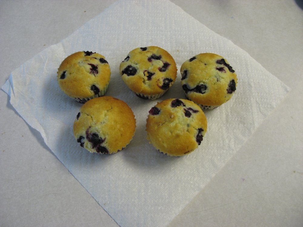 [very+blueberry+muffins.JPG]