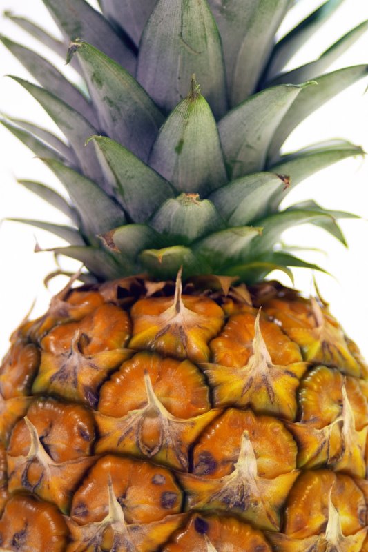 [pineapple2.jpg]