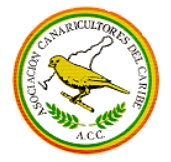 Asociación de Canaricultores del Caribe