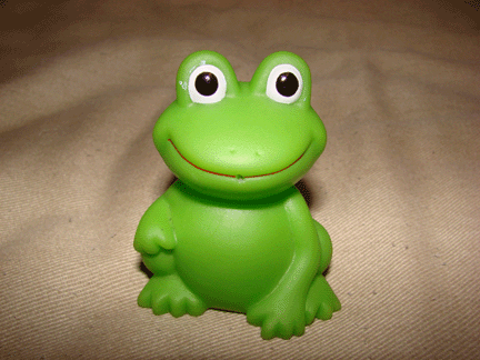 [froggie-10-14-07.gif]