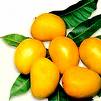 [alphonso-mangoes.jpg]