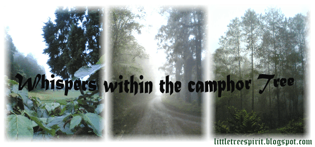 Whispers Within the Camphor Tree