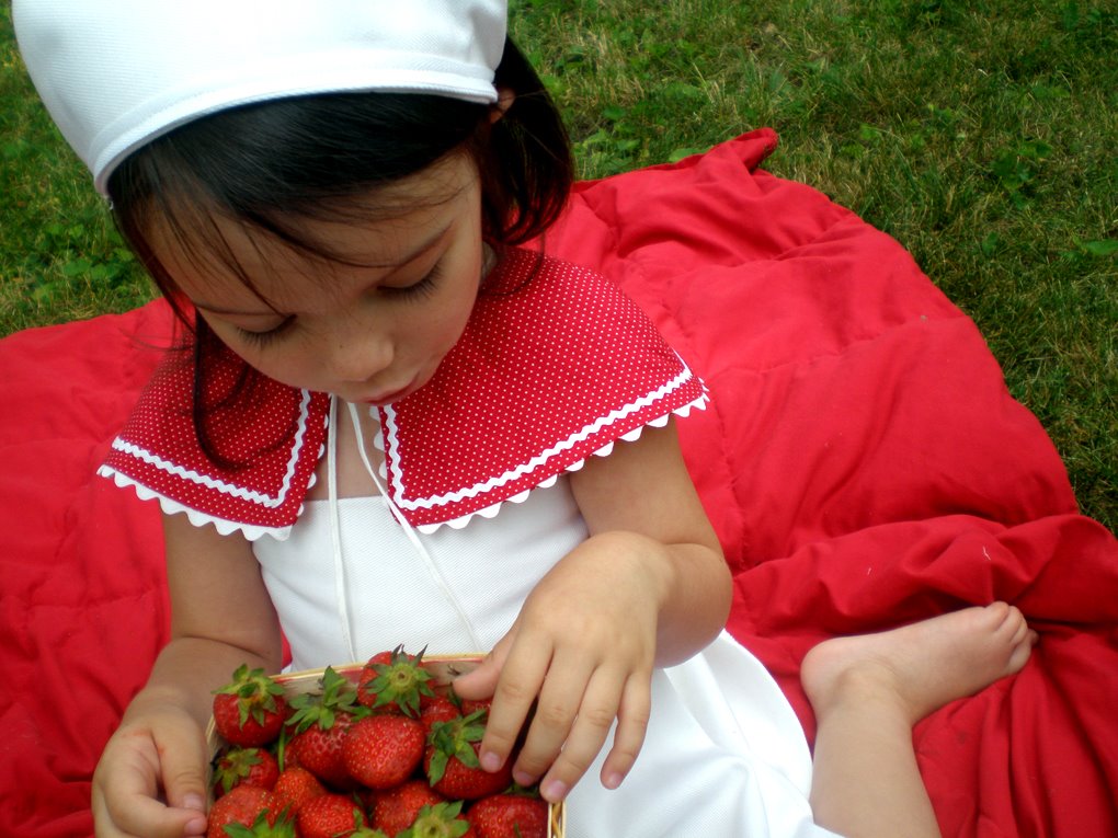 [caplet+&+strawberries+looking+down.jpg]