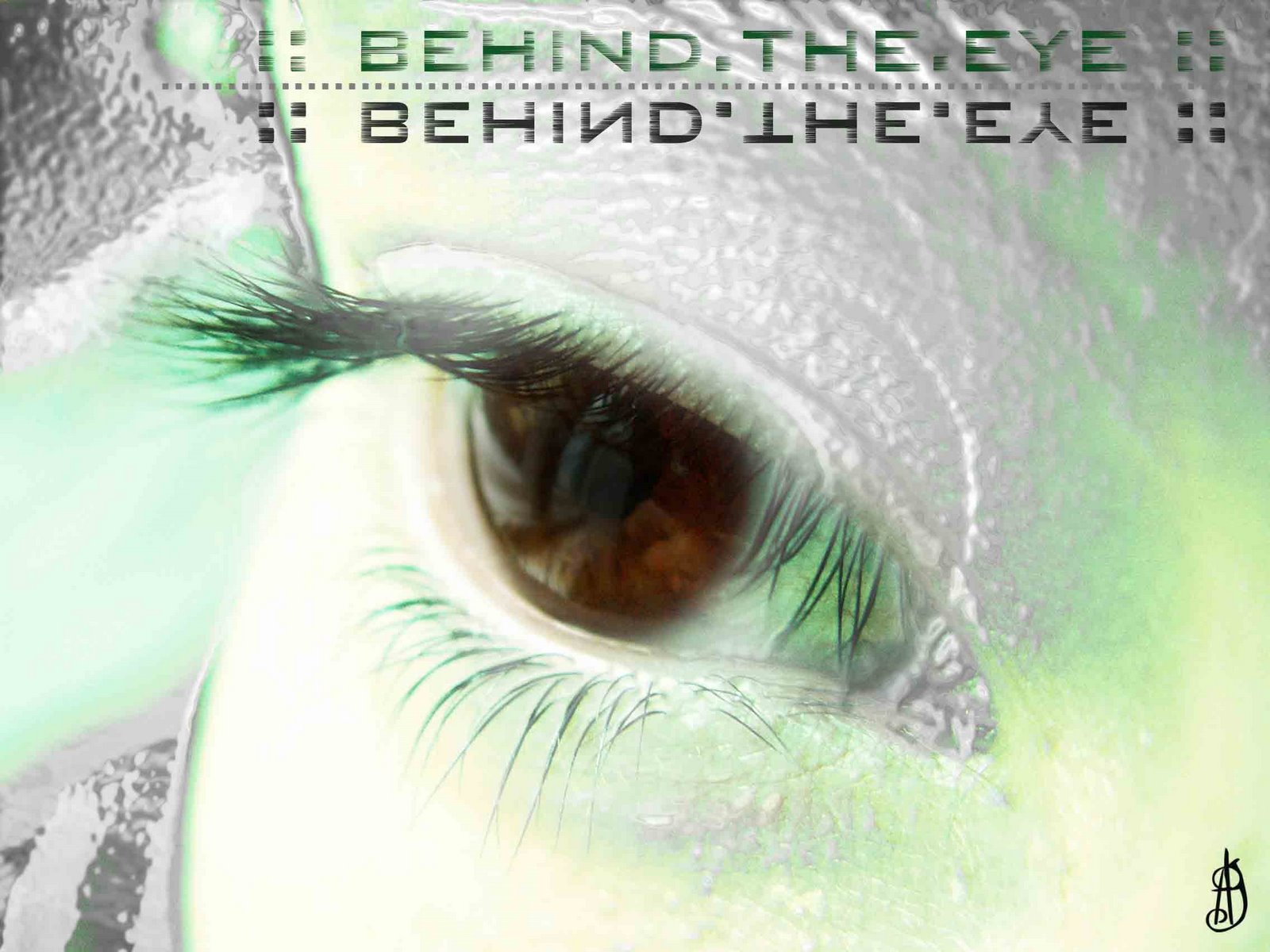 [behind_the_eye.jpg]