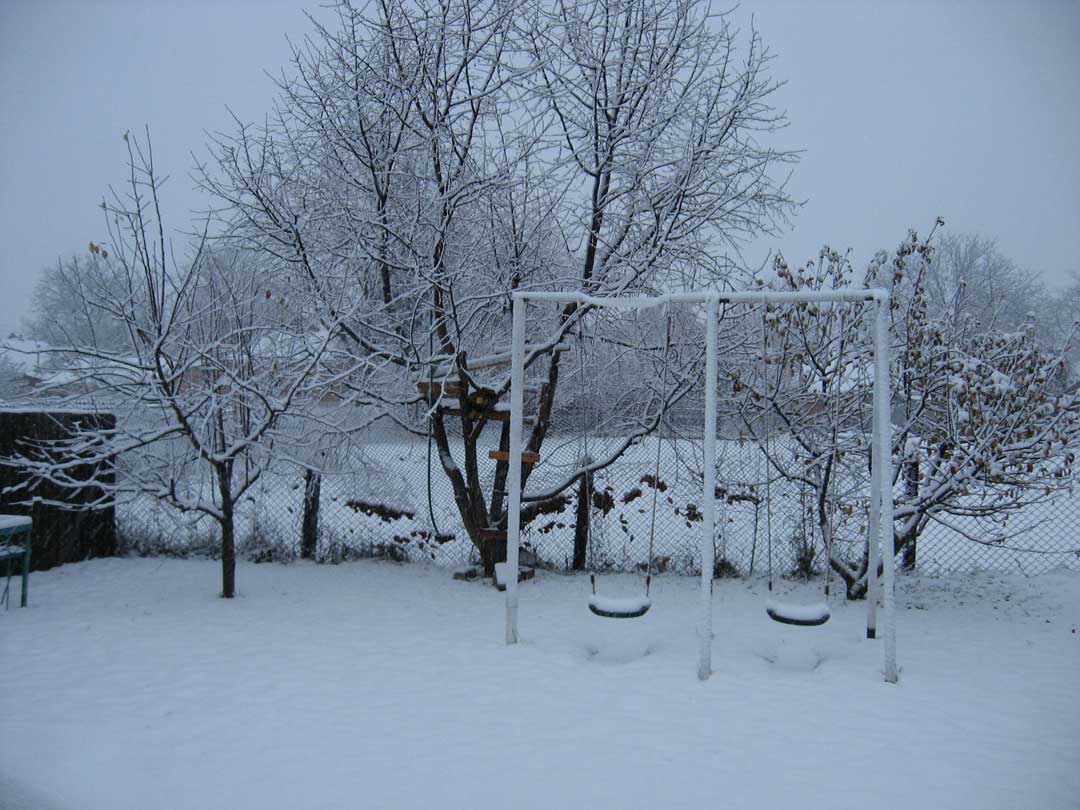 [backyard-snow.jpg]