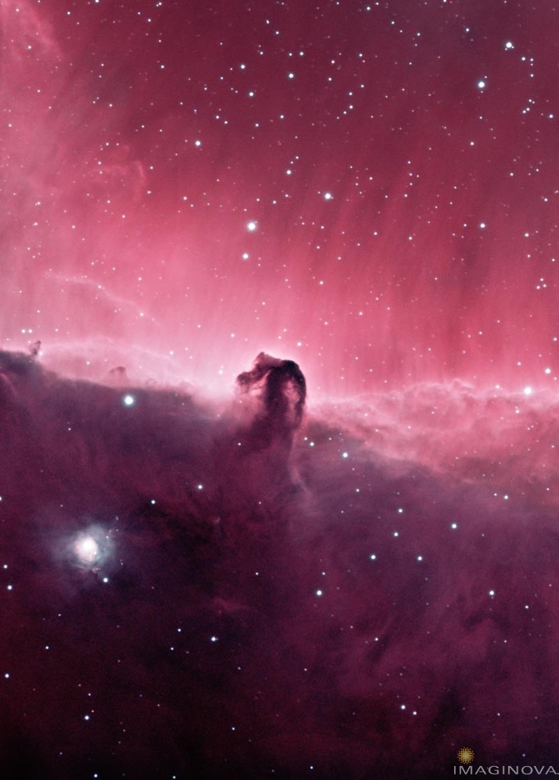 [horsehead+nebula+from+sf+by+rdcrisp.jpg]