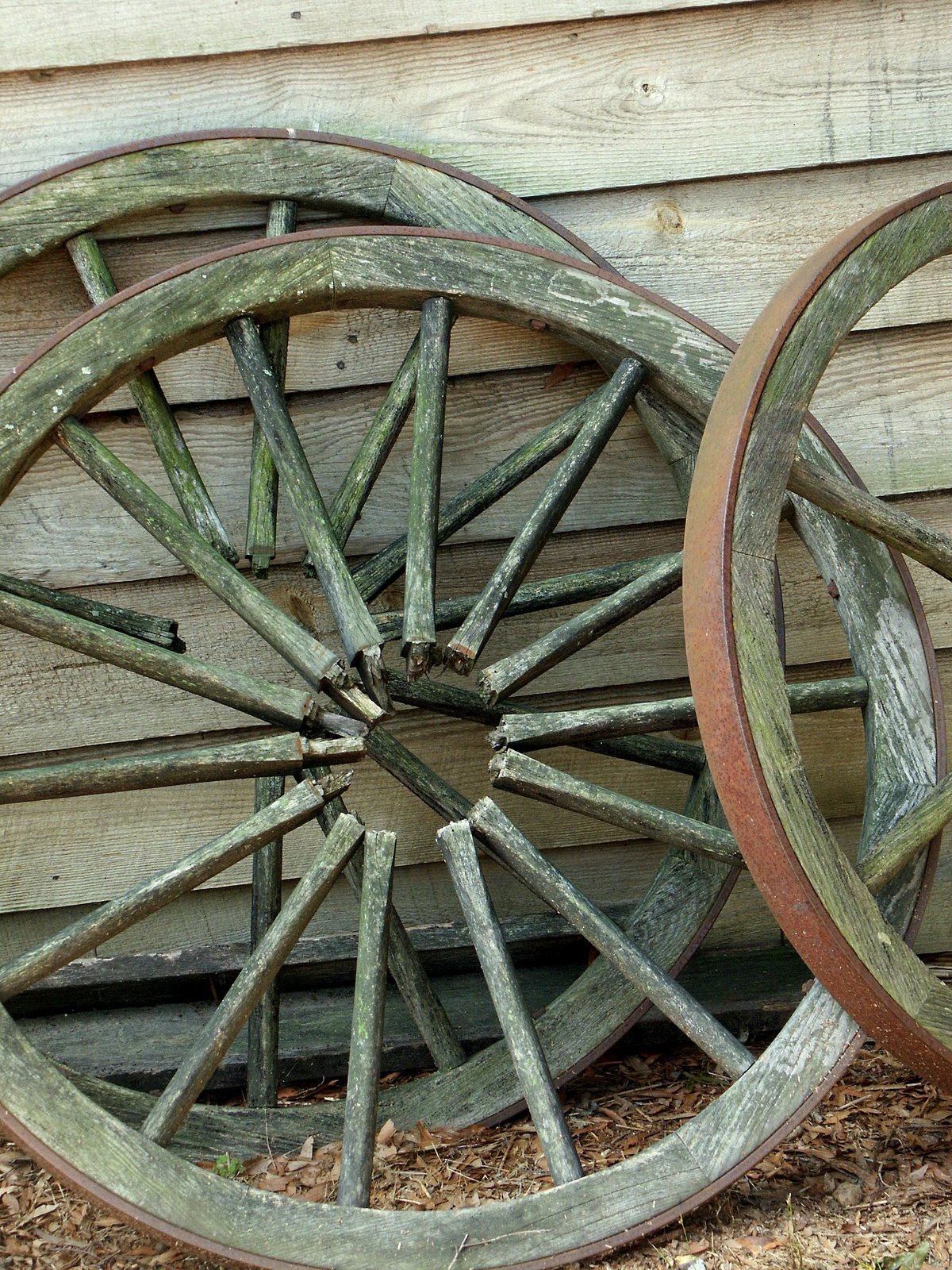 [wagon+wheels.JPG]