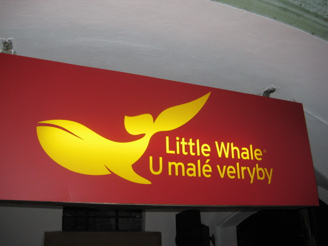 [Whale+sign.jpg]