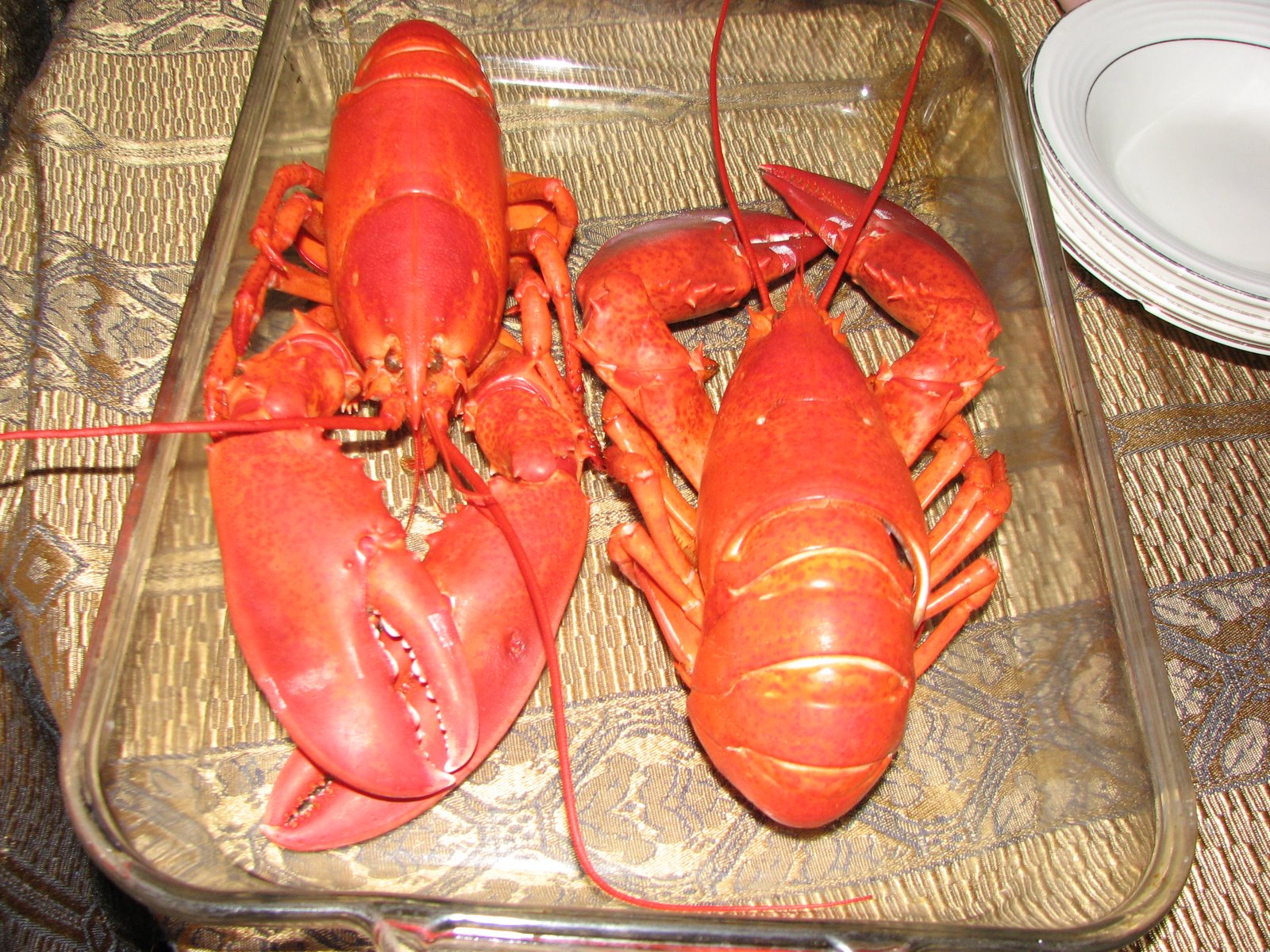 [lobster+004.JPG]