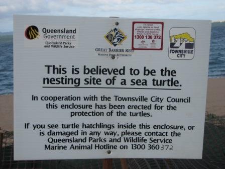 [Turtle+nest+on+Strand.JPG]