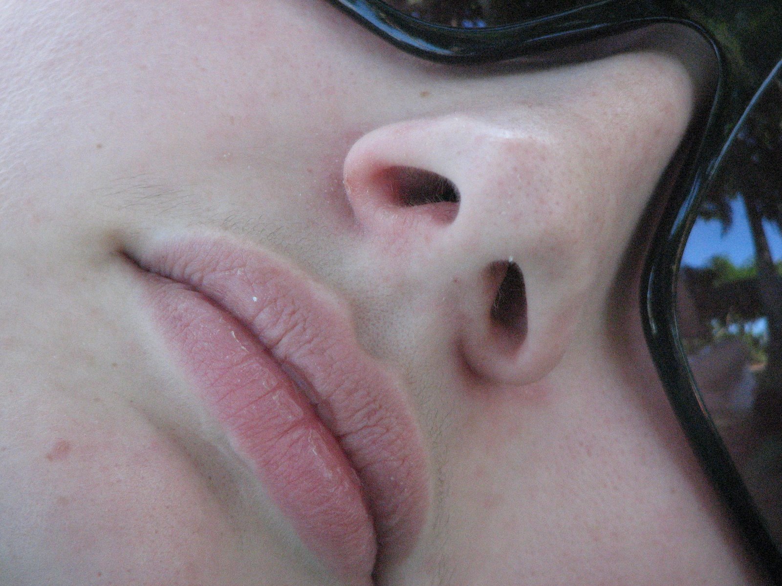 [Dayle+nose+she's+in++in+T'ville+Dec+06.JPG]