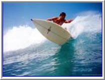 [surfing.jpg]