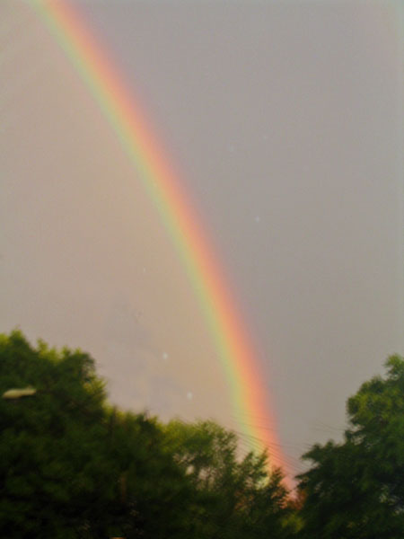 [rainbow2.jpg]