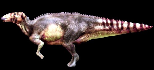 [hadrosaurio.jpeg]