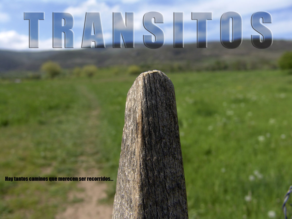 [Transitos1.jpg]