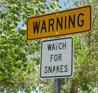 watch for snakes