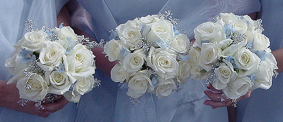 [l_white-roses-with-blue-and.jpg]