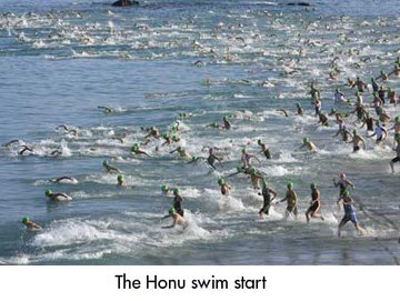 [honu+swim.jpg]