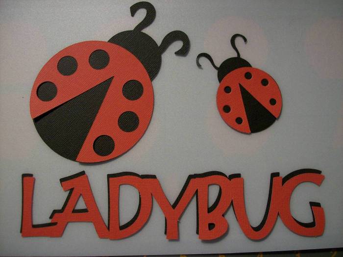 [ladybug+finish+smaller.jpg]