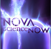 [Nova+logo.png]