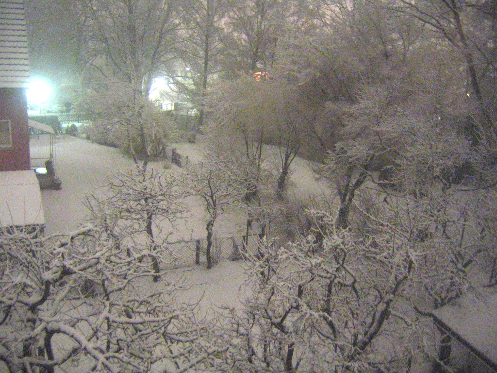 [Schnee+am+19.03.2007.jpg]