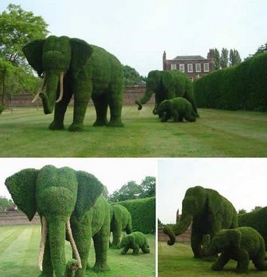 [jardin-elefantes.jpg]