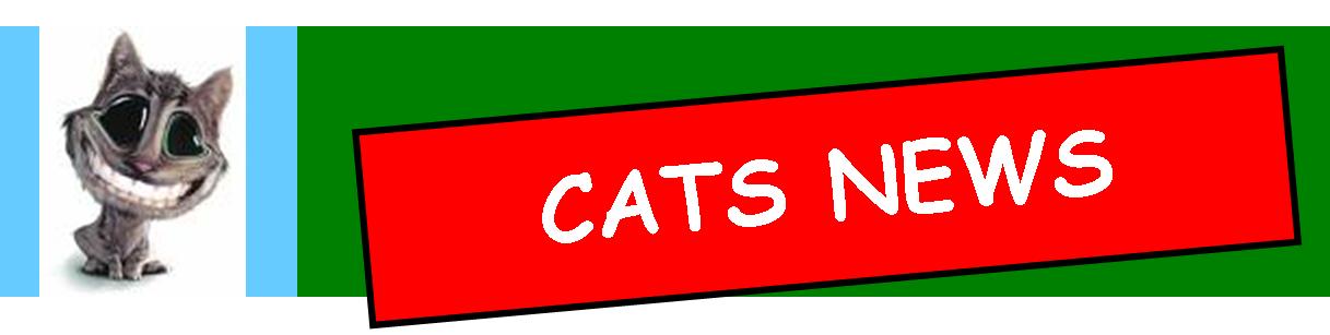 CATS NEWS