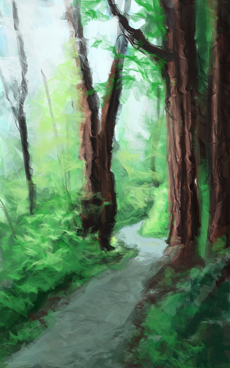 [forest_path.jpg]