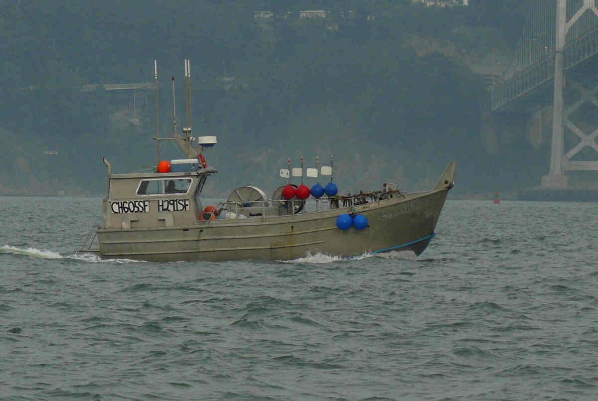 [23+herring+boat.jpg]