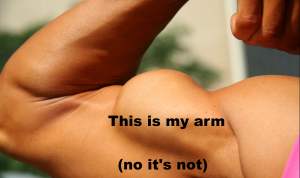 [biceps.JPG]