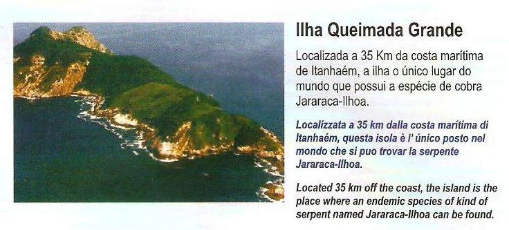 [Ilha+da+Queimada+Grande+(1).jpg]