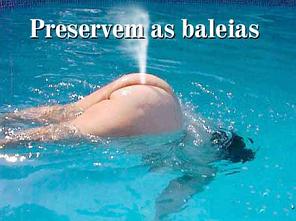 [preservem+as+baleias.jpg]