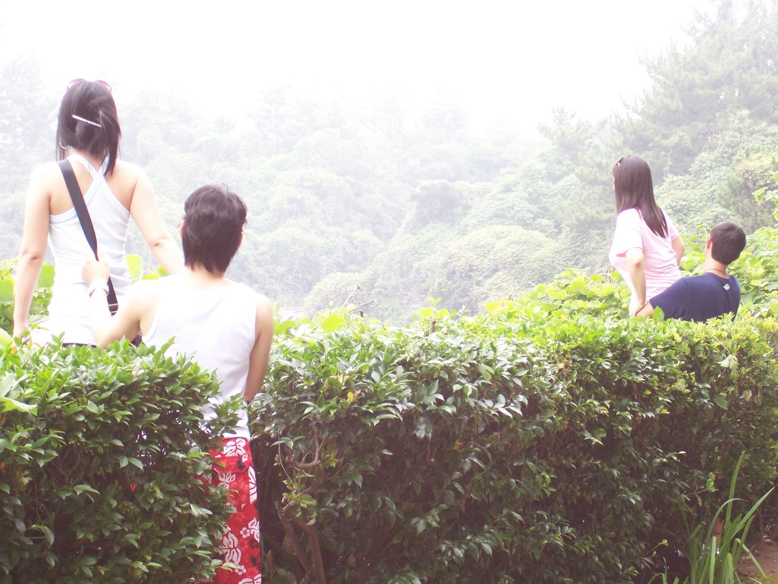 [waterfall+girlfriends+boyfriends.JPG]